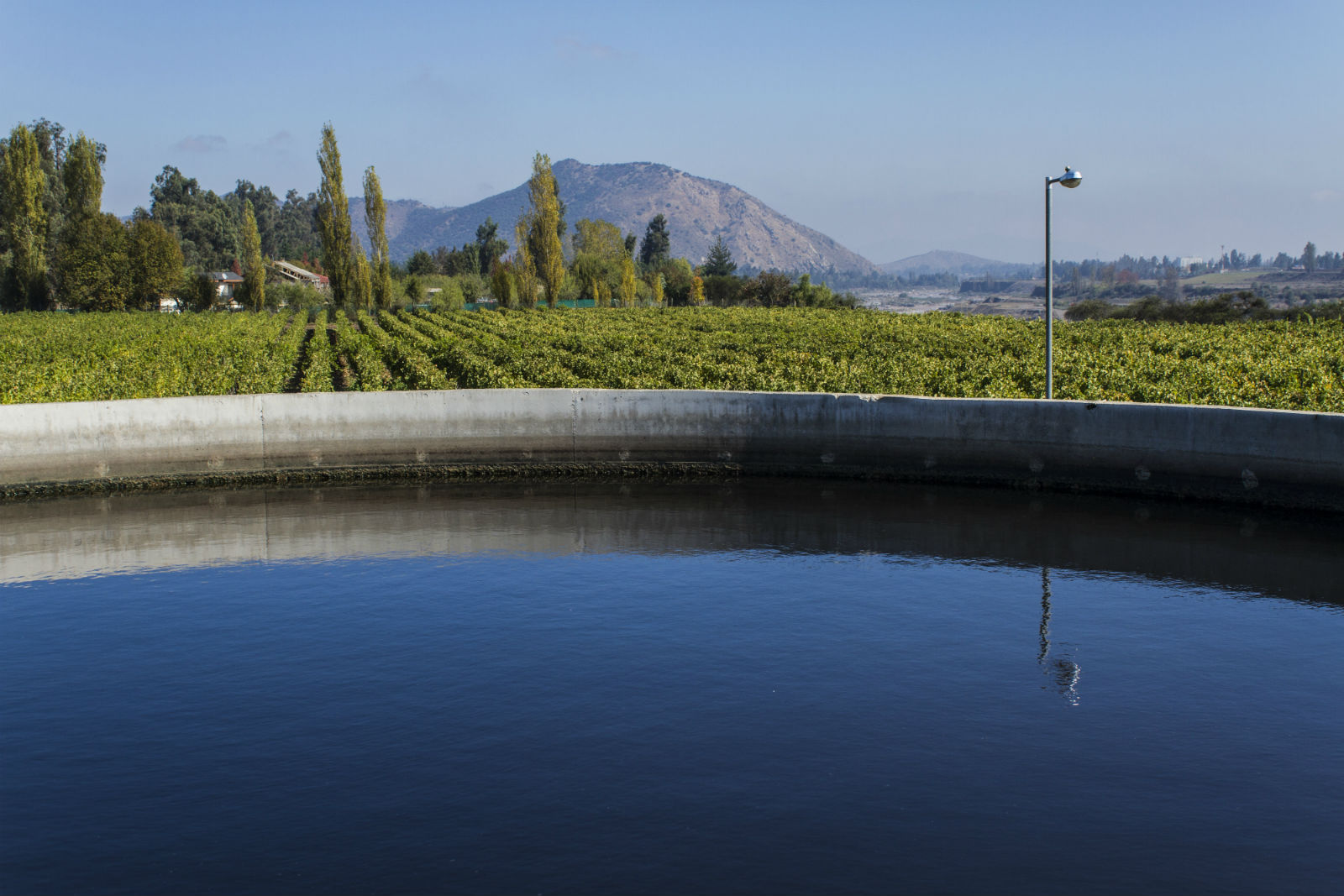 Viña Concha y Toro recycles and reuses 100% of its industrial waste