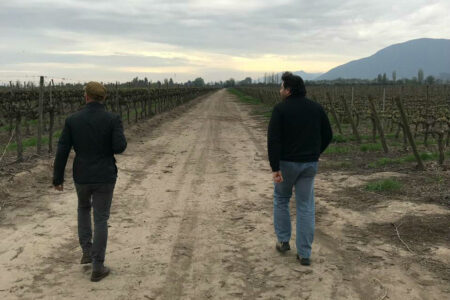 Viña Concha y Toro y su compromiso con la educación en la industria del vino