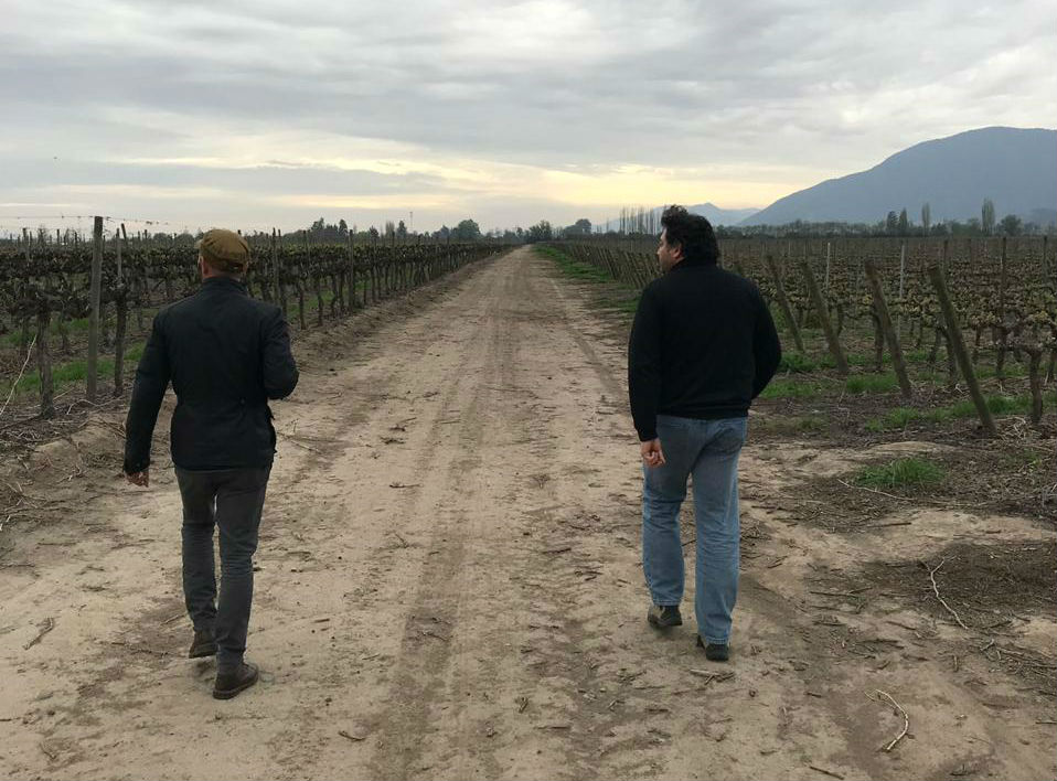 Viña Concha y Toro and its commitment to education in the wine industry