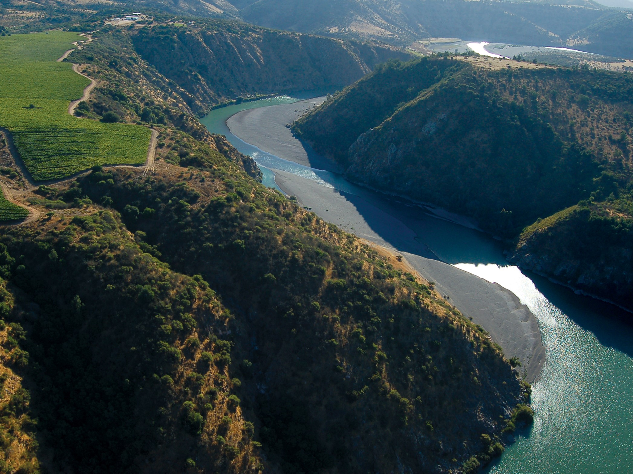 Viña Concha y Toro es la primera empresa vitivinícola en el mundo que certifica sus bosques nativos bajo FSC®