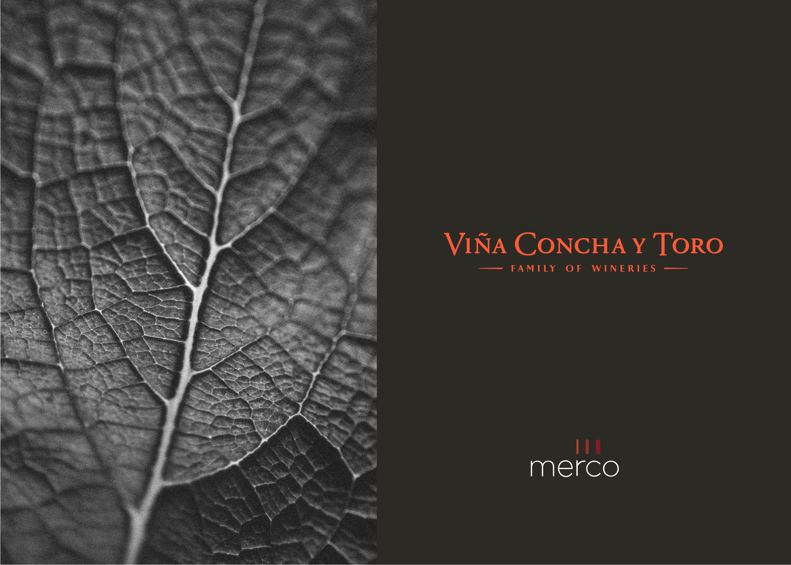 Viña Concha y Toro obtains ninth place in corporate reputation ranking