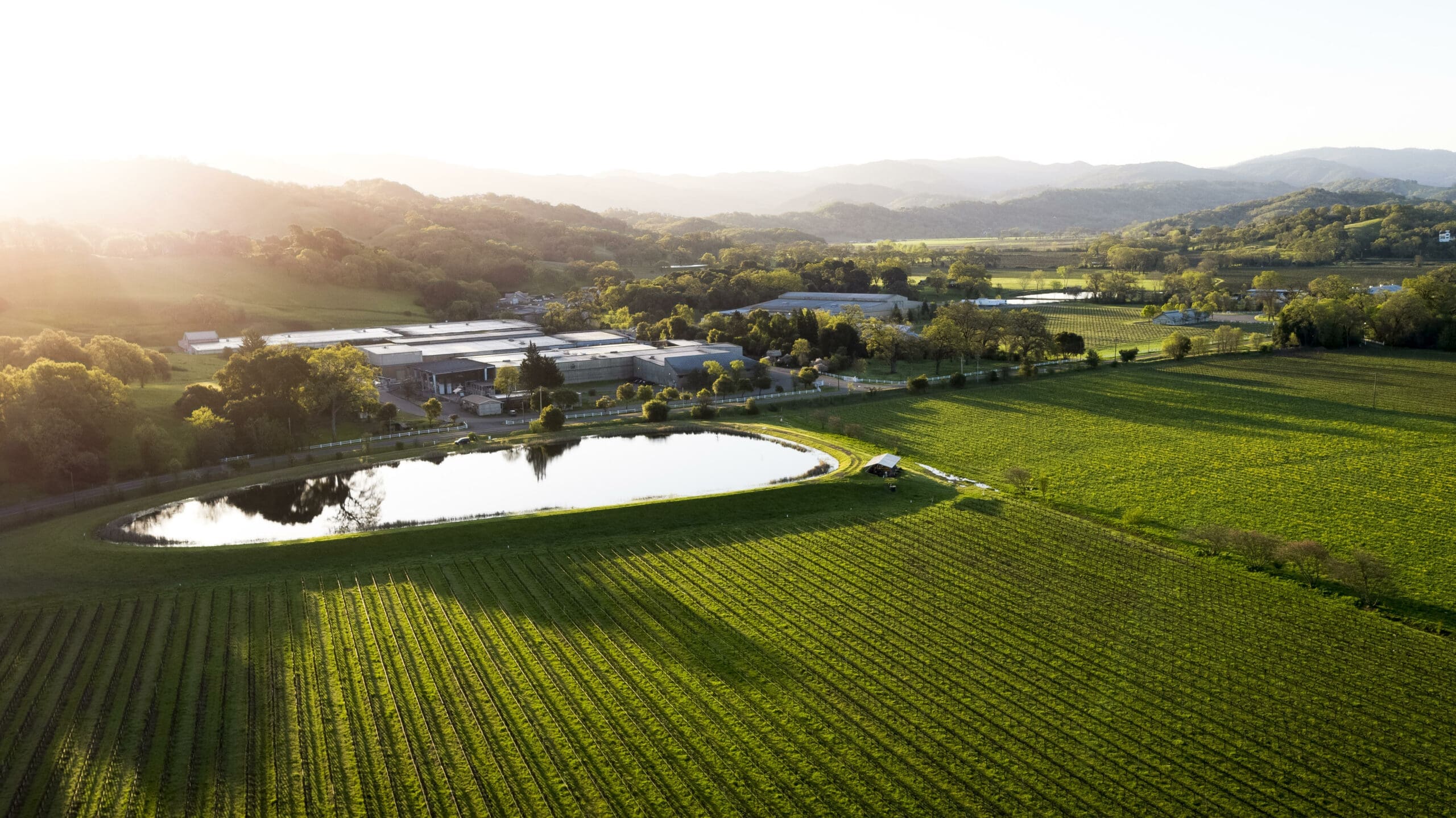 Fetzer Vineyards se ubica en el ranking Top Impact Companies 2021