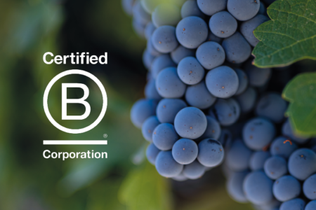 Viña Concha y Toro and subsidiaries join the community of B Corporations