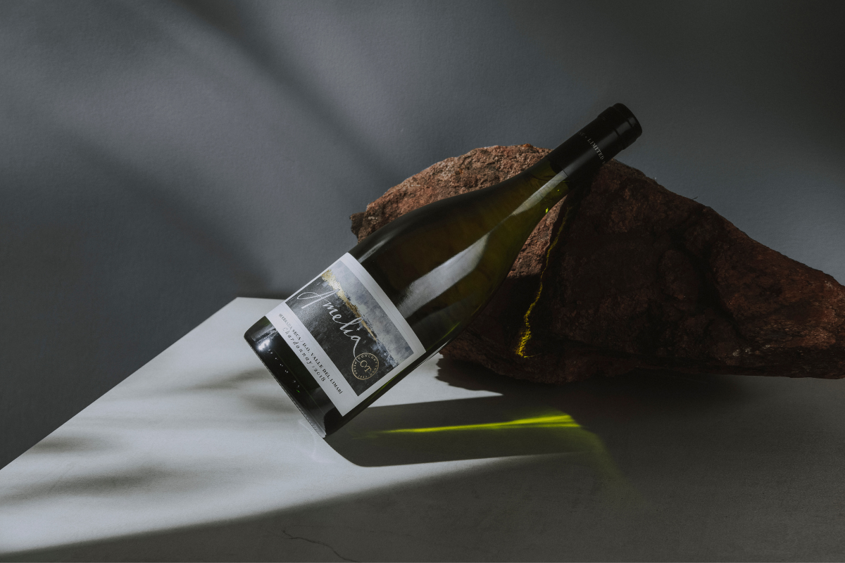 Amelia es elegido mejor Chardonnay de Chile por Decanter