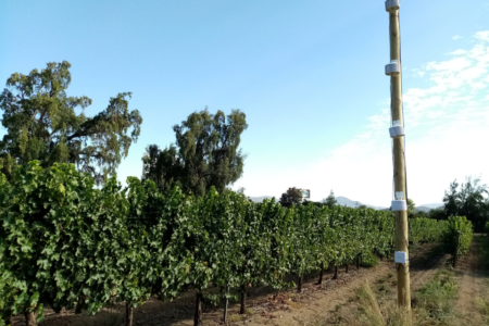 CRI collaborates in the development of technologies to forecast frost in vineyards