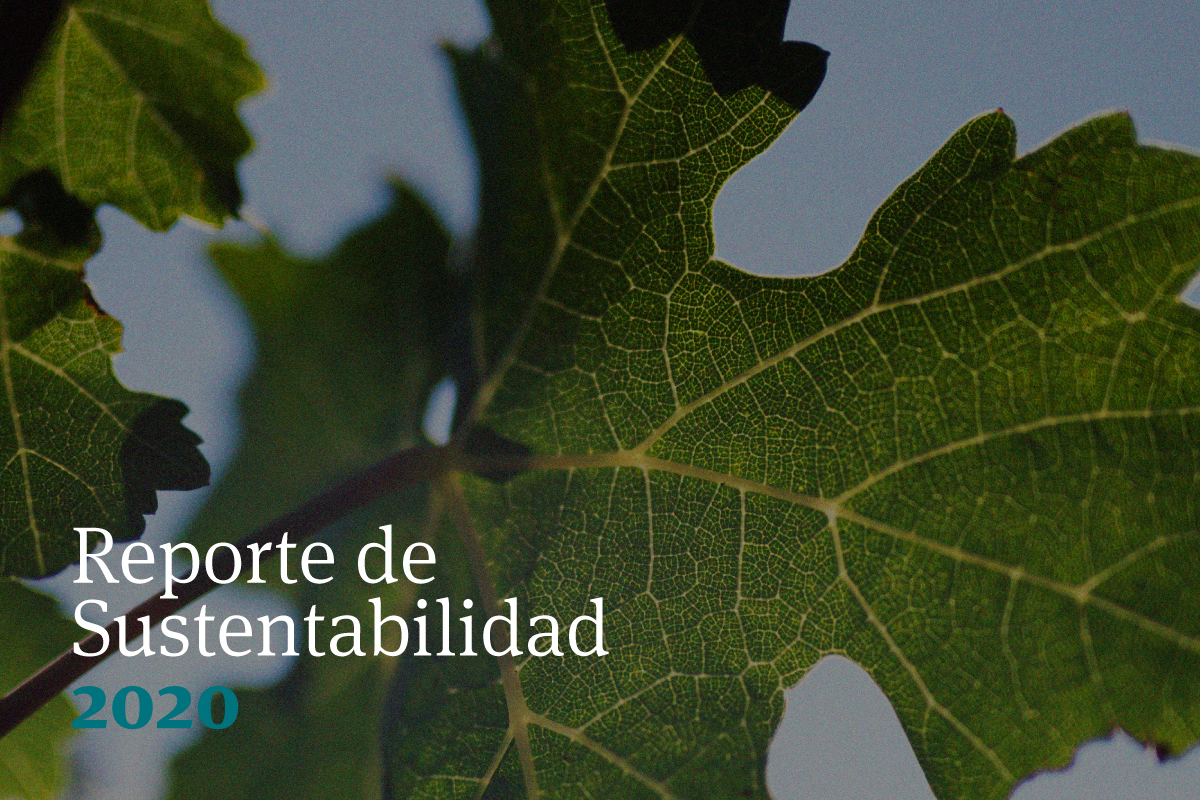 Viña Concha y Toro presenta su Reporte de Sustentabilidad 2020