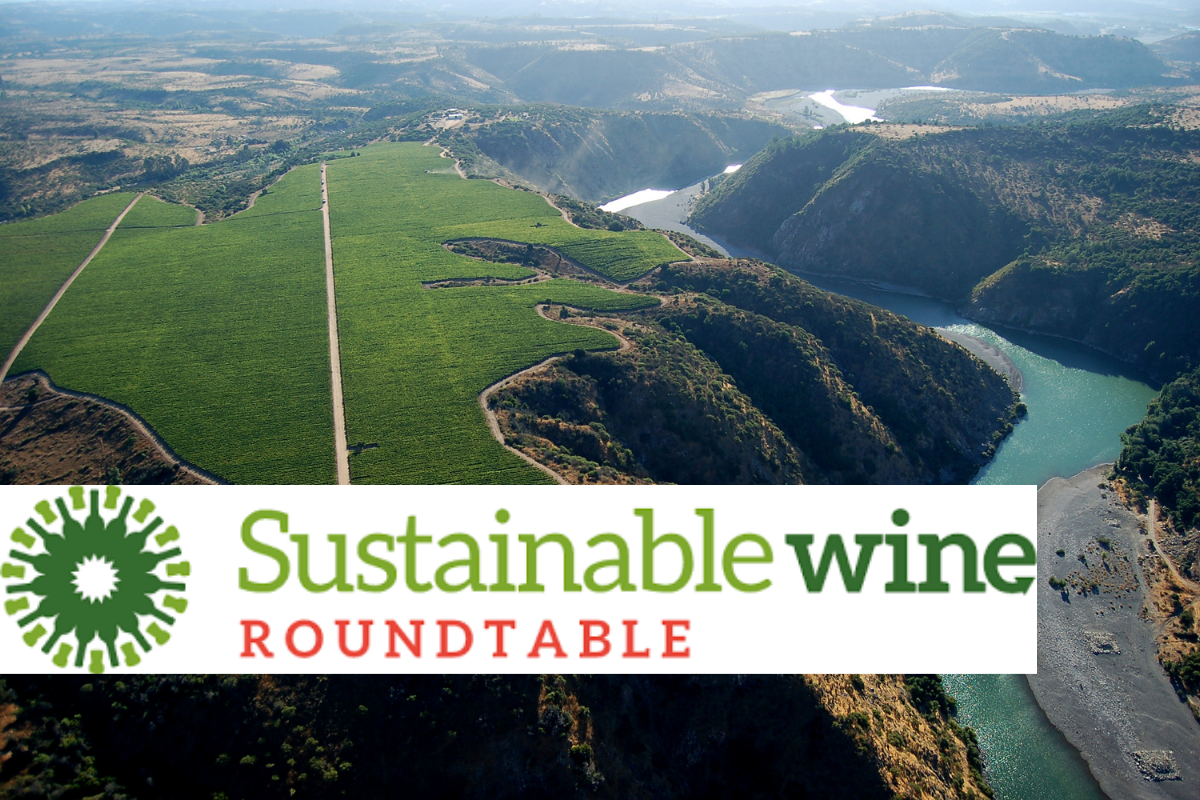 Viña Concha y Toro joins the Sustainable Wine Roundtable