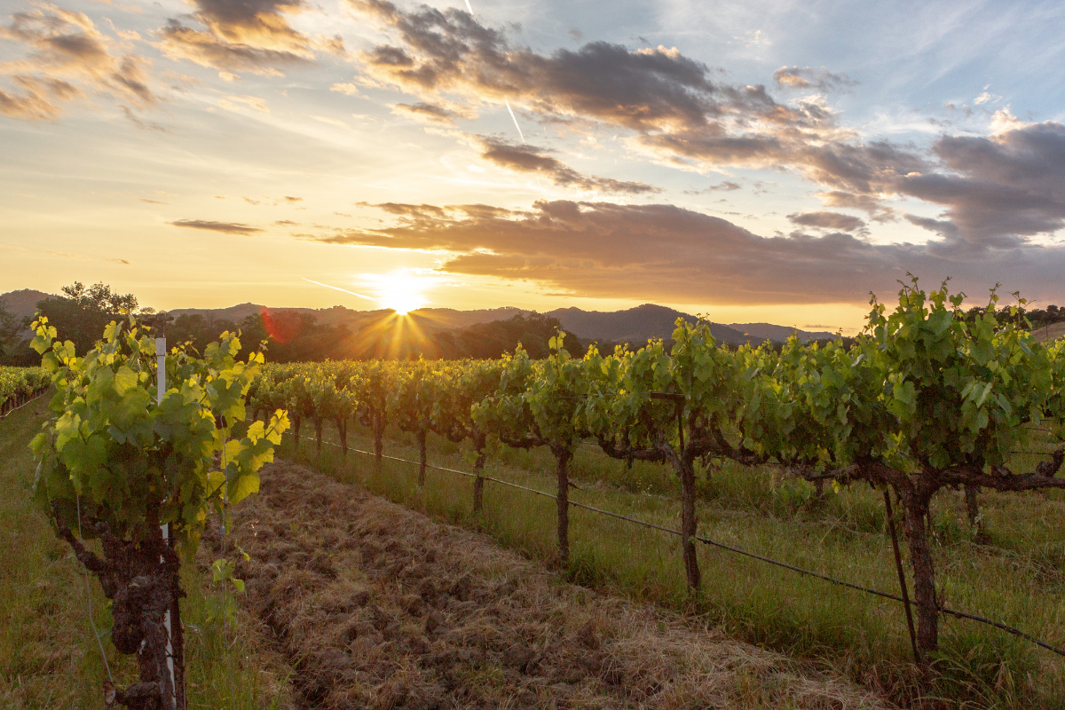 Fetzer Vineyards Receives “Outstanding” B Corp Score