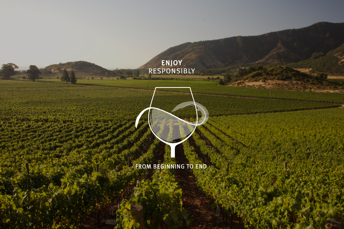 Viña Concha y Toro launches its new Responsible Consumption campaign