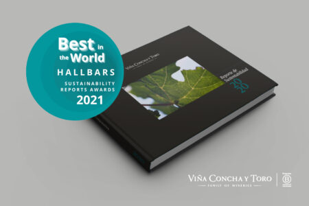 Sustainability Report 2020 is chosen as Best in the World for a second consecutive year
