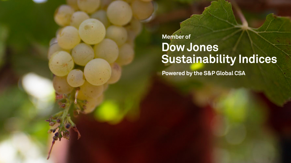 Viña Concha y Toro forms part of the Dow Jones Sustainability Indices for a sixth consecutive year
