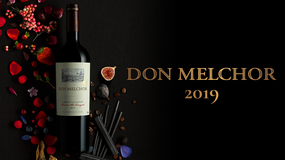 Don Melchor presents its new 2019 vintage