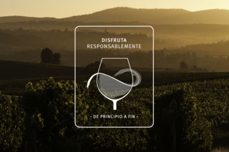Viña Concha y Toro invites you to continue enjoying responsibly