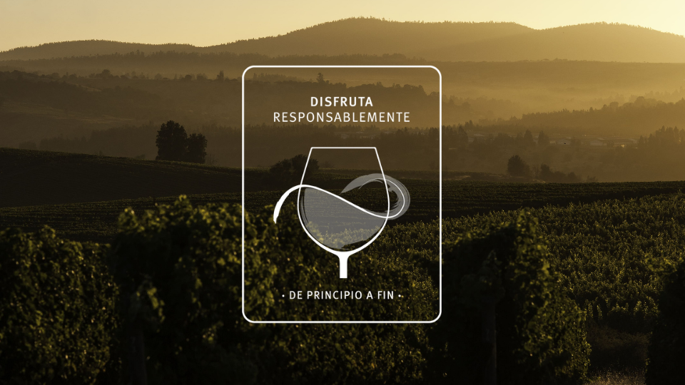 Viña Concha y Toro invites you to continue enjoying responsibly