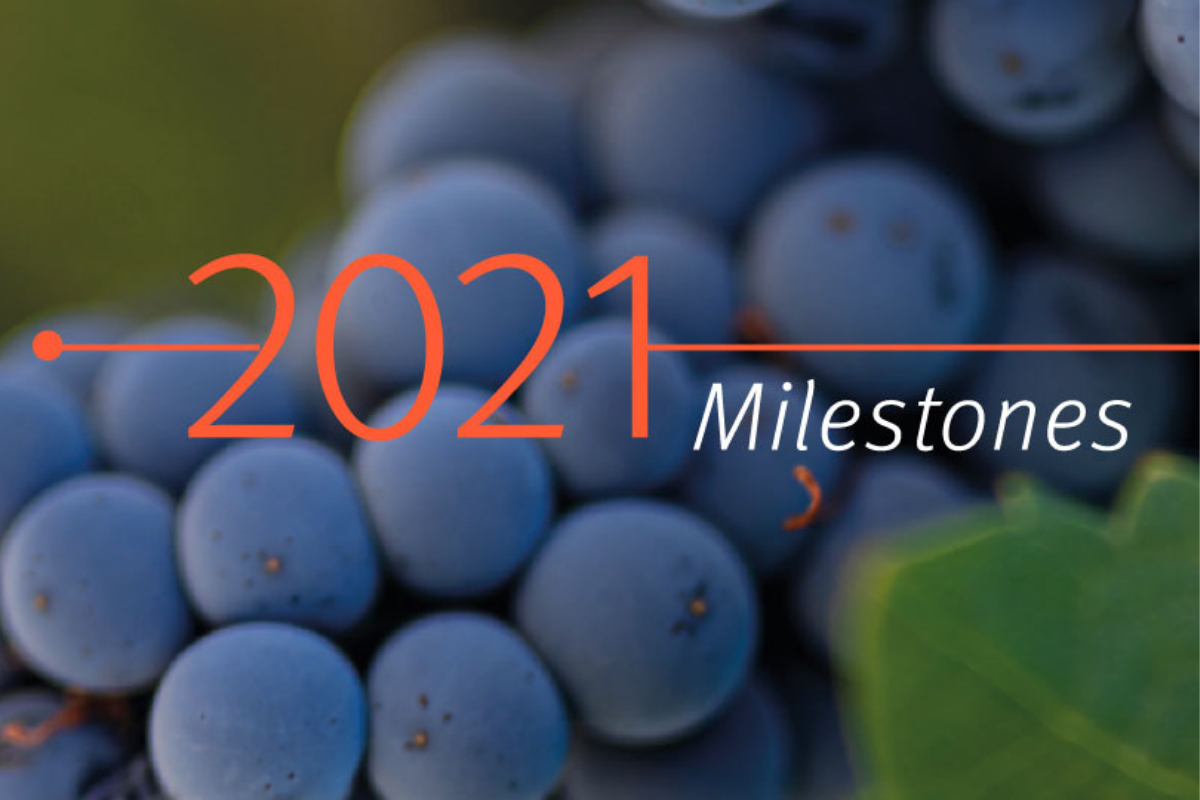 The milestones that marked the year of Viña Concha y Toro