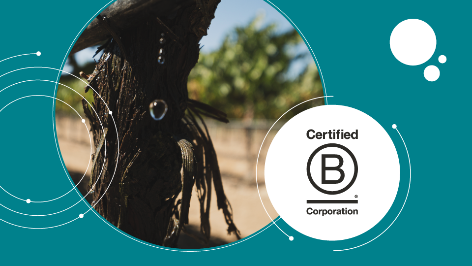 Viña Concha y Toro celebrates its first year as a B Corporation