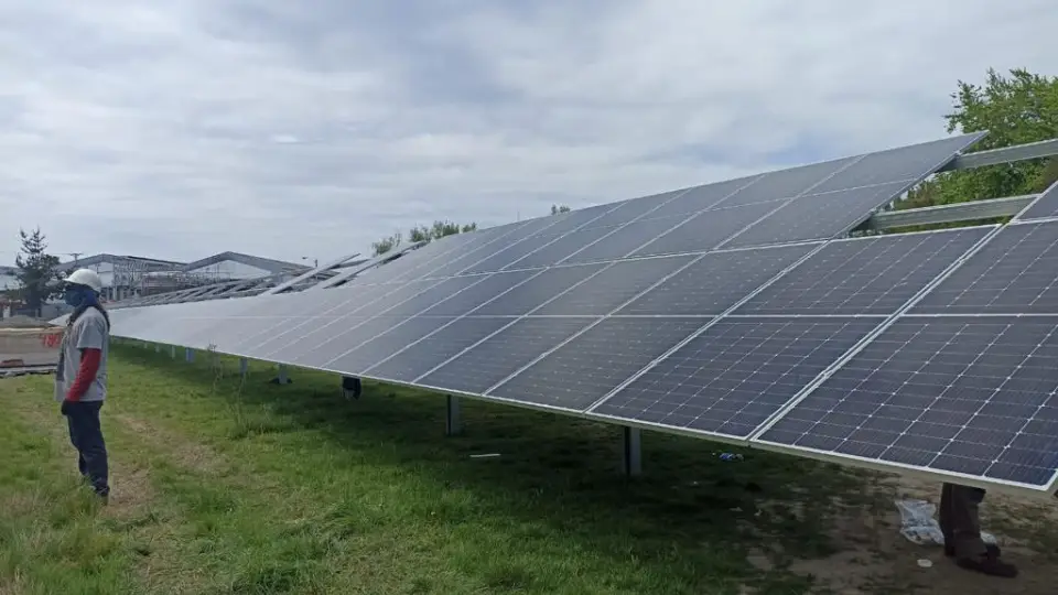 Viña Concha y Toro logra abastecerse 100% de energía renovable