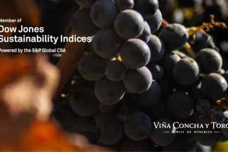 Viña Concha y Toro is once again included in the Dow Jones Sustainability Index