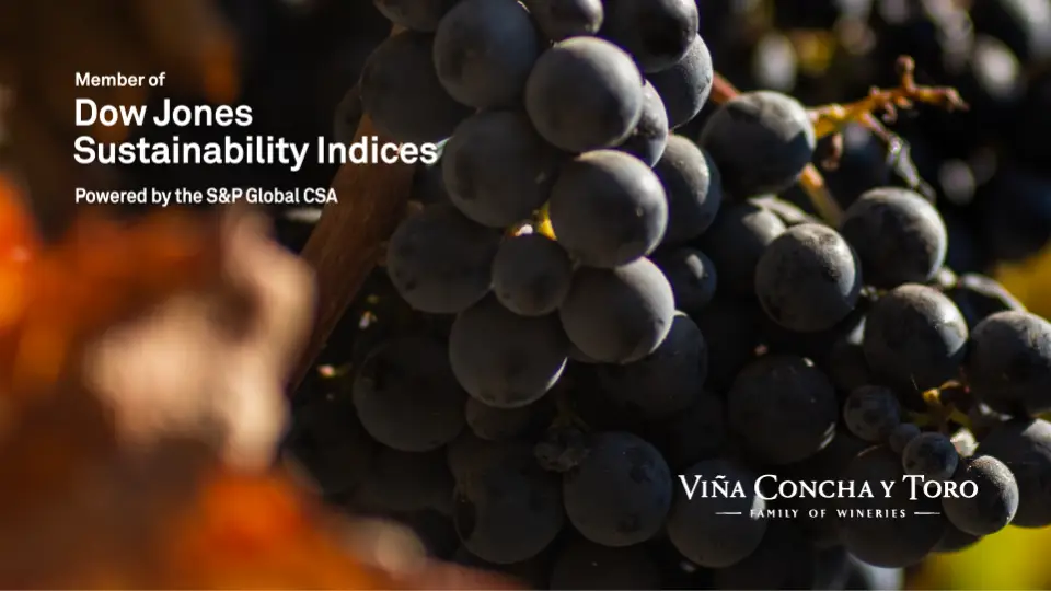 Viña Concha y Toro is once again included in the Dow Jones Sustainability Index