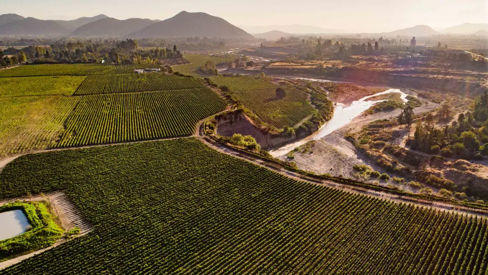 Viña Concha y Toro recibe importantes reconocimientos en Sustentabilidad