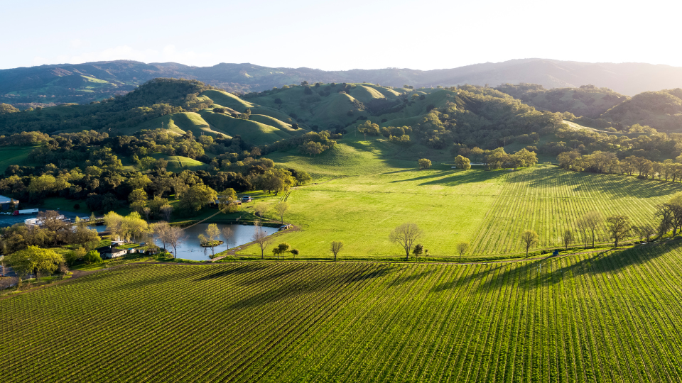 Bonterra Organic Estates is highlighted by Wine Spectator