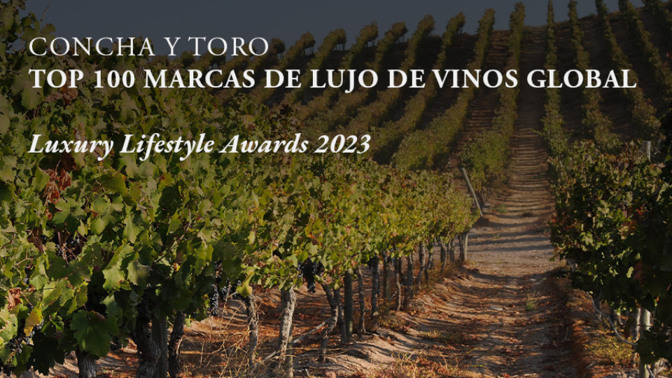 Concha y Toro se posiciona entre las Top 100 marcas de lujo de vinos global