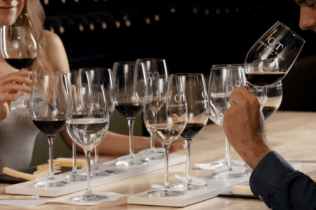 Viña Concha y Toro experiences significant growth across all product lines in 2024