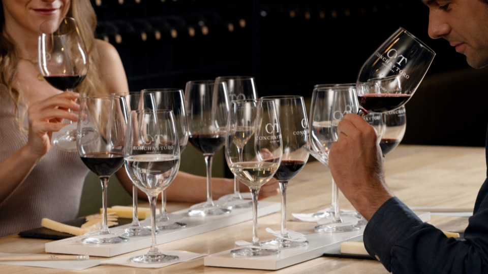 Viña Concha y Toro experiences significant growth across all product lines in 2024