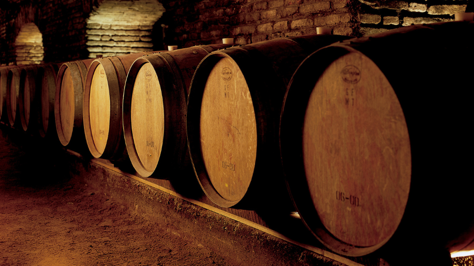 Viña Concha y Toro increases its sales in the first quarter
