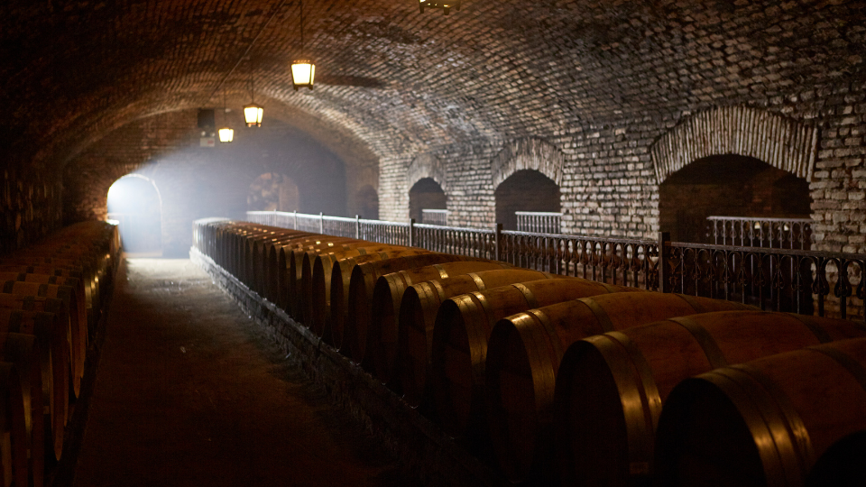 Viña Concha y Toro acelera sus ingresos en tercer trimestre: ventas de vino aumentan en 10%