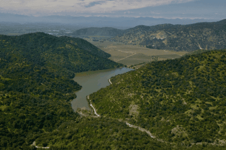 Viña Concha y Toro receives Sustainability Recognition from british magazine