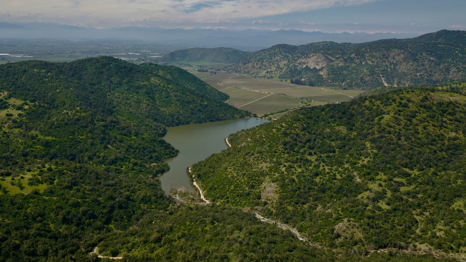 Viña Concha y Toro obtiene reconocimiento en sustentabilidad por revista británica