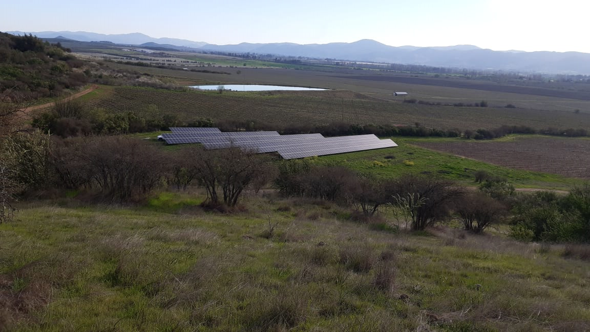 Viña Concha y Toro is featured in the Sustainability Yearbook 2026