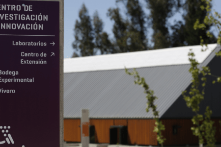 Viña Concha y Toro refuerza la innovación con alza de 14% en inversión en su Centro de Investigación e Innovación