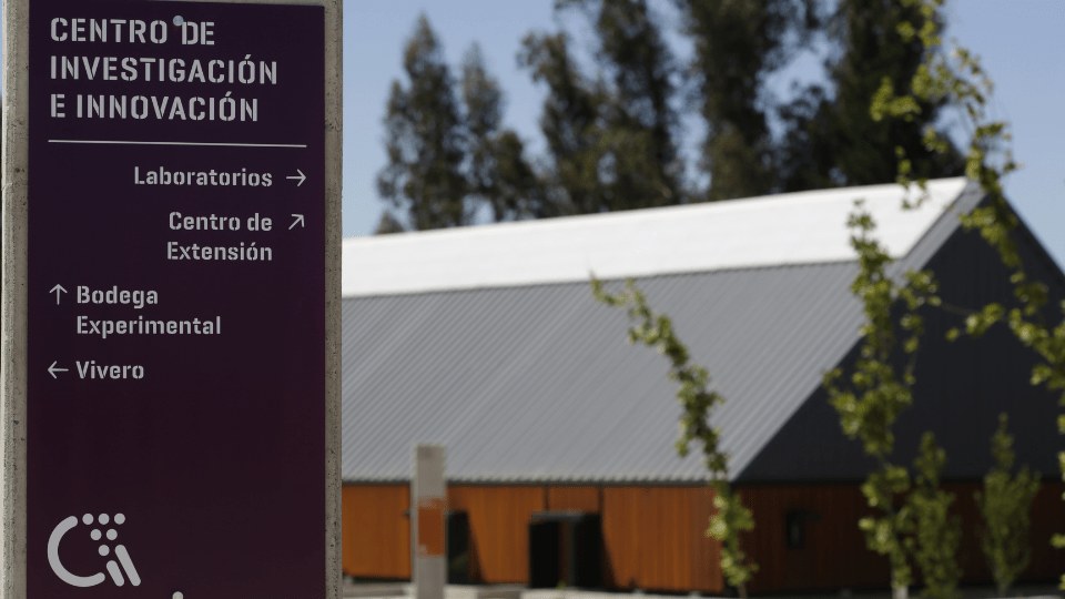 Viña Concha y Toro strengthens innovation with a 14% increase in investment in its Center for Research and Innovation