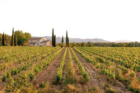 Un nuevo origen se suma a la Familia de Viñas: Viña Concha y Toro da la bienvenida a Maison Mirabeau
