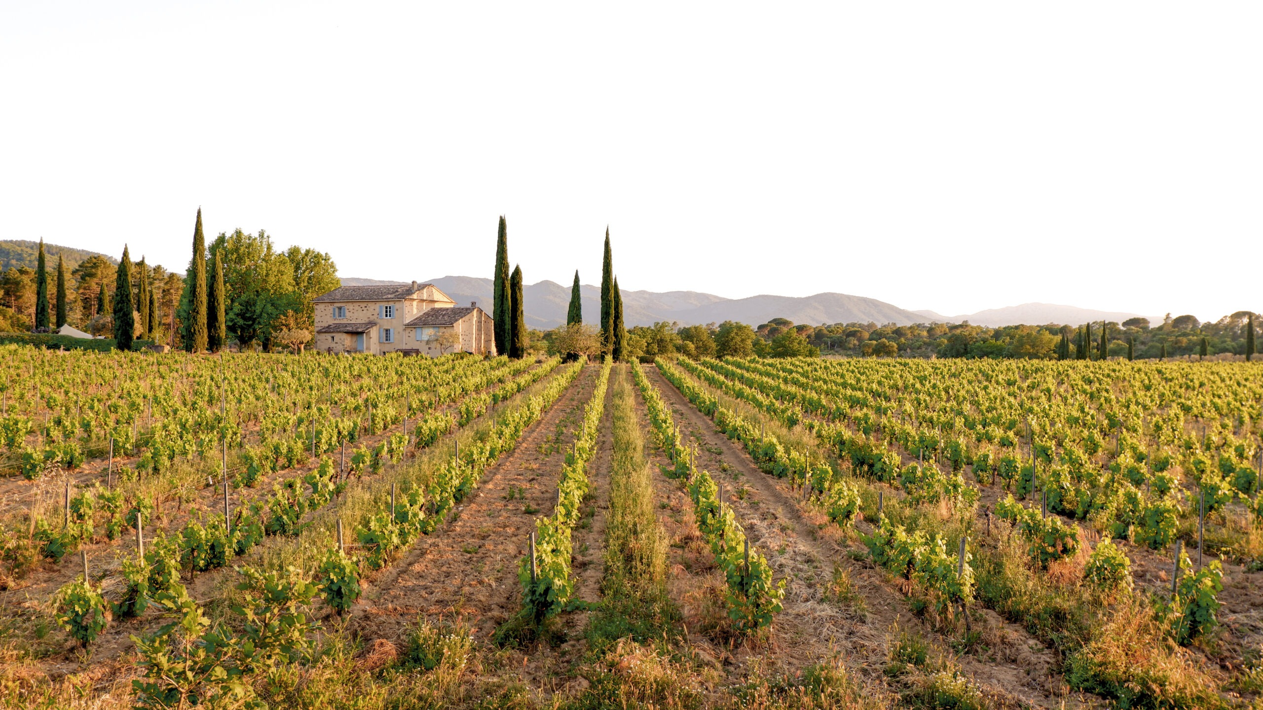 Un nuevo origen se suma a la Familia de Viñas: Viña Concha y Toro da la bienvenida a Maison Mirabeau