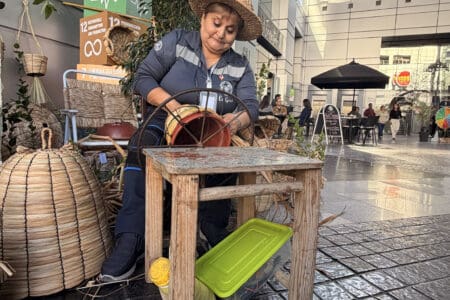 Diario Sustentable highlights upcycling practices at Viña Concha y Toro alongside entrepreneurial ventures