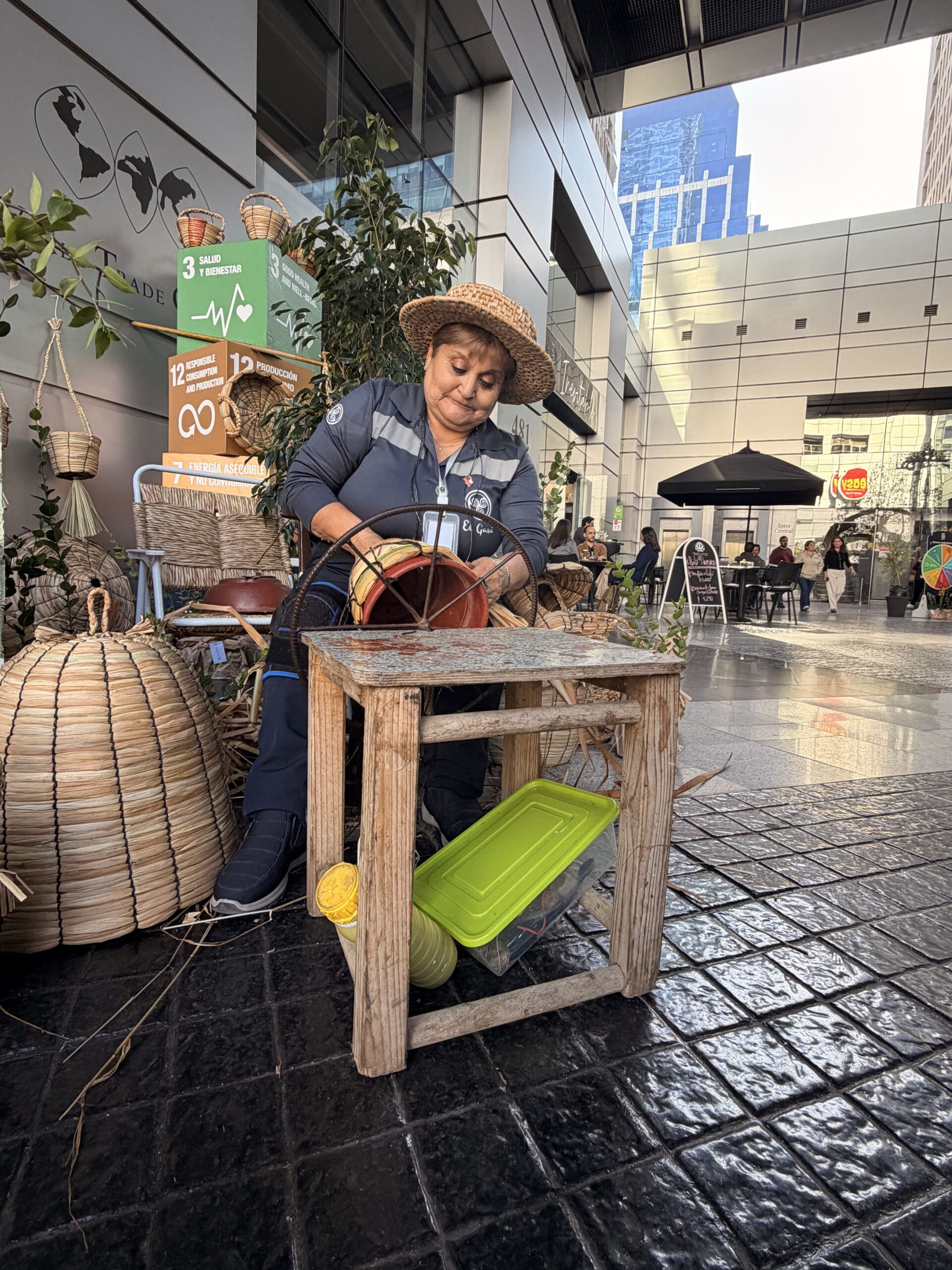 Diario Sustentable highlights upcycling practices at Viña Concha y Toro alongside entrepreneurial ventures