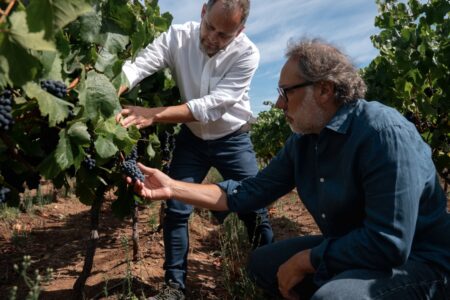 Limarí: el origen que desafió todos los límites