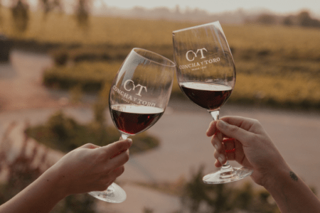 Viña Concha y Toro alcanza el TOP 3 mundial de la industria vitivinícola