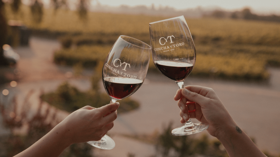 Viña Concha y Toro alcanza el TOP 3 mundial de la industria vitivinícola