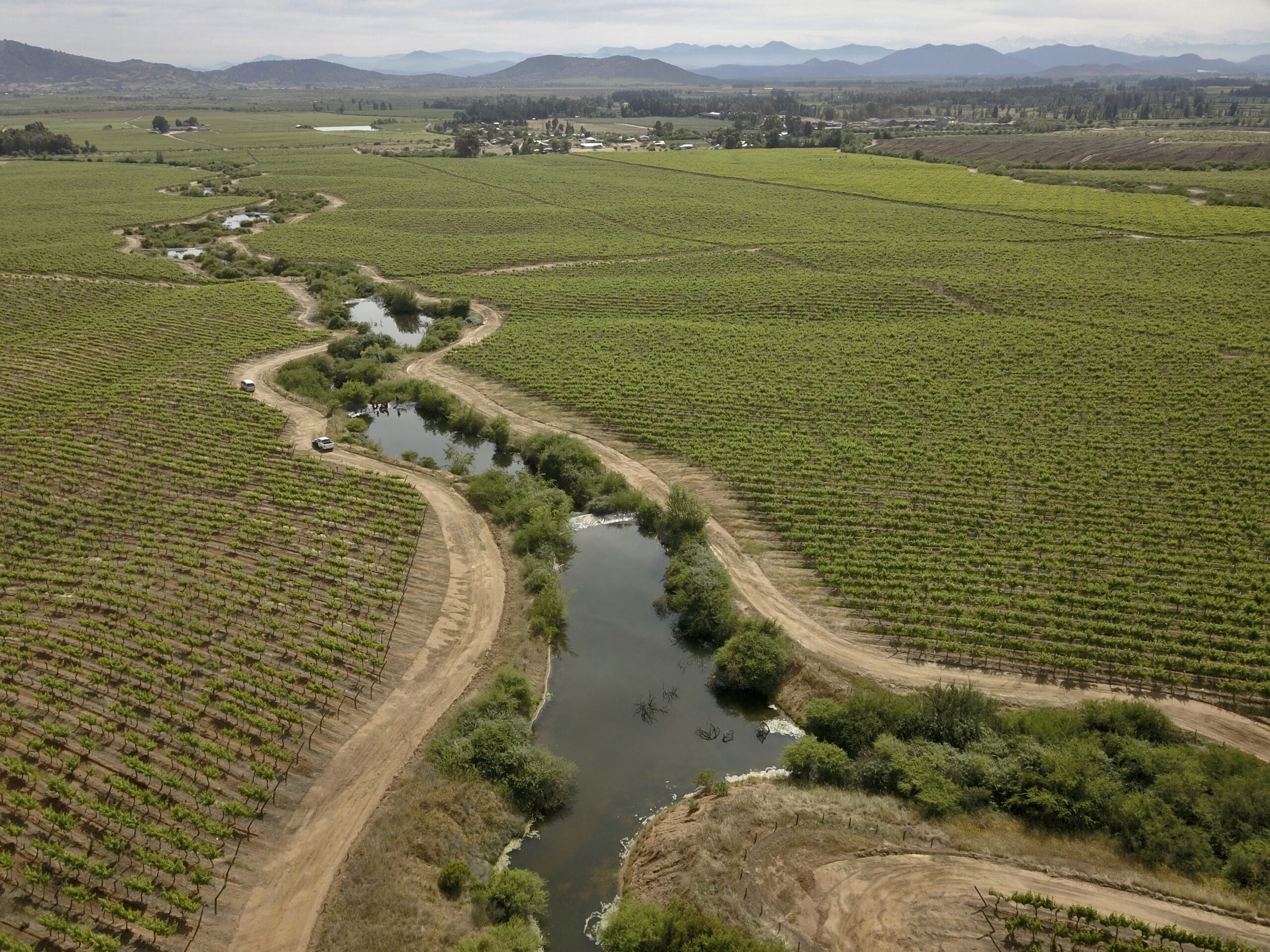 Regeneración de la Naturaleza: una nueva frontera para el liderazgo empresarial
