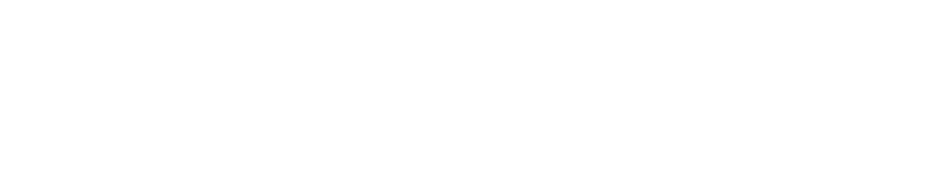 Concha y Toro