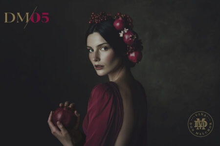 Viña Don Melchor presenta DM/05 cosecha 2023, la segunda edición de su Serie “Las Parcelas”